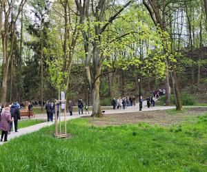 Kraków. Wyremontowany park Bednarskiego oficjalnie otwarty