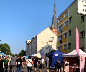 Szczecin. Rozpoczyna się Jarmark Jakubowy