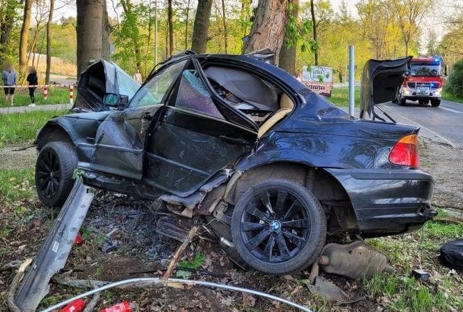 BMW owinęło się wokół drzewa. Koszmarny wypadek w Zielonej Górze