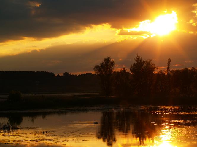 Fotografia jego pasja. Radek Chochół, starachowiczanin opowiada o swojej przygodzie z aparatem