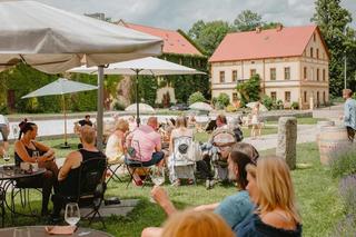 Piknik w Winnicy Silesian