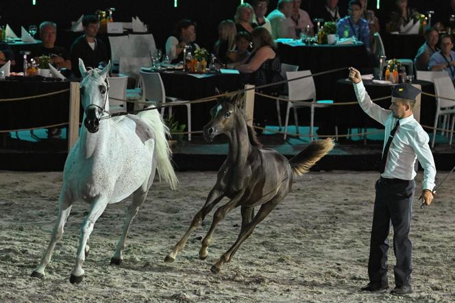 Porażka Pride of Poland 2024? Zyski są zdecydowanie niższe niż rok temu