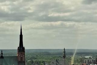 Diabełek pyłowy w Szczecinie