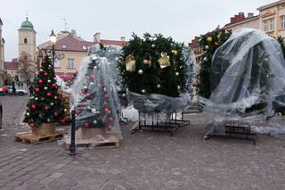 Trwa montaż świątecznej choinki na Rynku w Rzeszowie