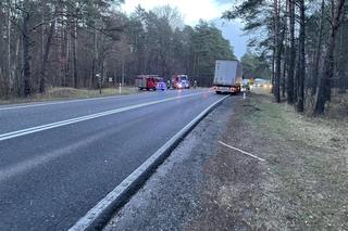 Drzewo runęło na jadące pojazdy na DK 10 pod Bydgoszczą! O krok od tragedii