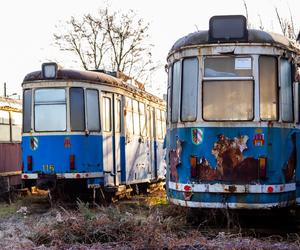 Zobacz kolekcję starych tramwajów w prywatnym ogrodzie - zdjęcia. Wagony stoją na działce w Warszawie