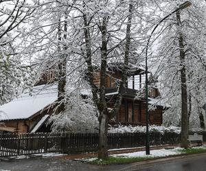 Śnieg w Zakopanem