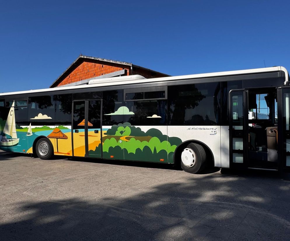 Kolorowe autobusy linii 13 promują Osiecznę