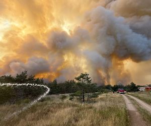 Potężny pożar lasów w Niemczech. Dym widać z okolic Lubina i Jawora na Dolnym Śląsku 
