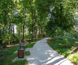 Zabytkowy park pod Lubawą zmienił się nie do poznania. Teraz wygląda jak z bajki