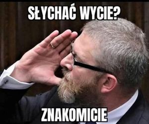 Najlepsze memy wyborcze 2025. Internauci bezlitośni