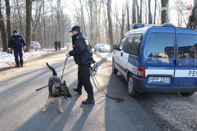 Orzesze: zatrzymany uciekł z komisariatu. Policjanci rzucili się do pościgu 