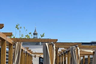 Czytelnia na dachu biblioteki w Lesznie 