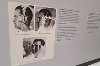 Wystawa ZIMNE SPOJRZENIE w Galerii Miejskiej BWA w Tarnowie