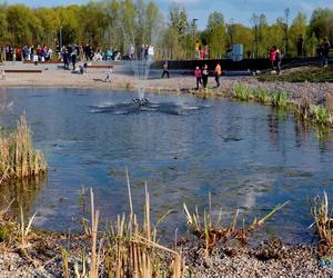 Park Nagórki - Jaroty