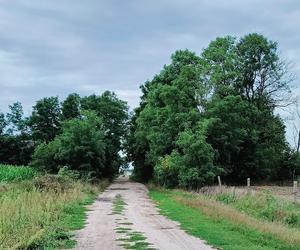 Światowy Dzień Fotografii. Z tych fotek są dumni nasi Czytelnicy! ZOBACZ