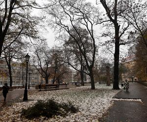 Pierwszy śnieg w Szczecinie