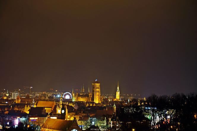 Panorama Gdańska