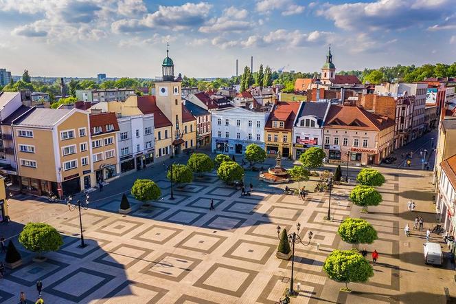 Rynek - wizualizacja nowych drzew