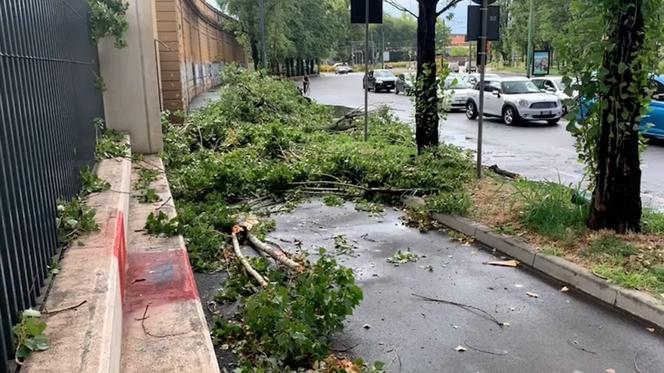 Włochy. Śmiertelna ofiara burz na północy, kilku rannych