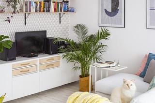 Jak urządzić wąski salon?