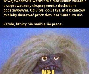 Memy o Warmii i Mazurach. Tak nasz region widzą Polacy. Uśmiejesz się do łez!