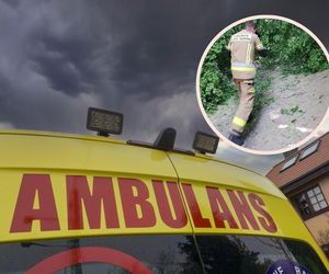 Wypadek na wycieczce szkolnej w Kazimierzu Dolnym. Na dzieci i ich opiekunów spadła gałąź