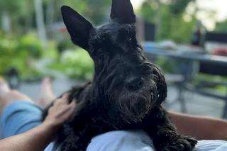 Andrzej Polan z „Dzień dobry TVN” stracił przyjaciela. Koledzy ze stacji przygotowali dla niego wzruszającą niespodziankę