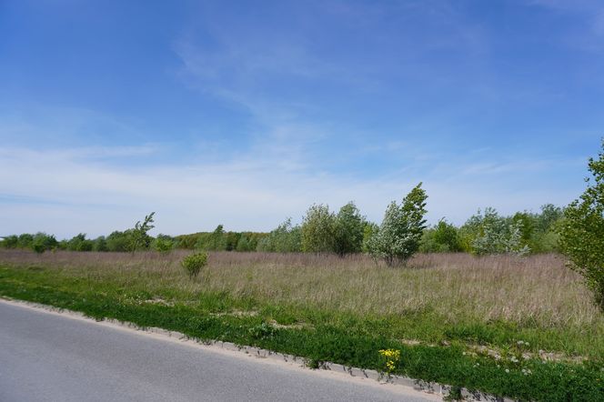 Poza budową osiedla na początku, tak wygląda większość otoczenia ulicy 