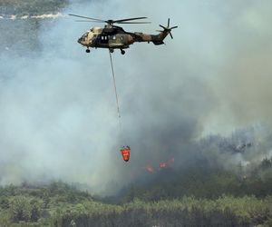 Podpalił Turcję, bo chciał iść do więzienia! Podpalacz kurortów złapany