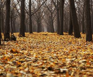 Pogoda długoterminowa na październik 2022. Czy zima przyjdzie wcześniej niż zwykle?