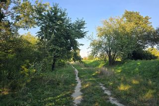 Bagry Ludwinowskie w Krakowie. Tu ma powstać Ptasi Raj