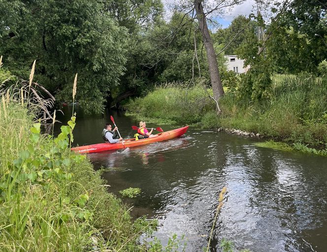 Europosłanka odpłynęła z mężem