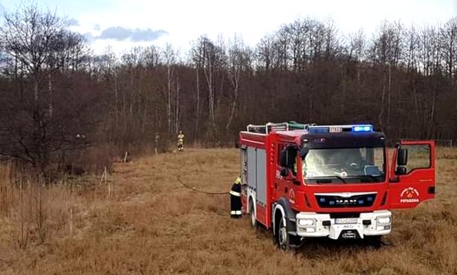 Pożar trzcin nad Czarną Hańczą