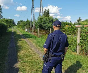 Policyjna akcja na terenie szczecineckich ogródków działkowych