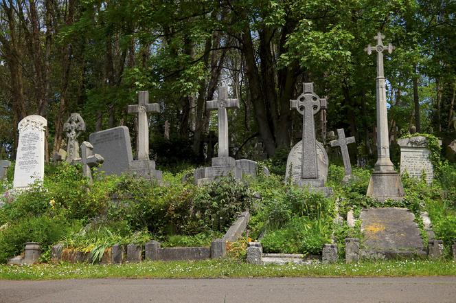 Tajny pogrzeb Michaela