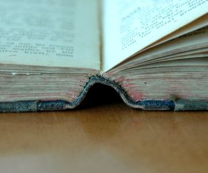 Proszę państwa do gazu - Tadeusz Borowski: streszczenie, opracowanie, interpretacja, PODCAST	