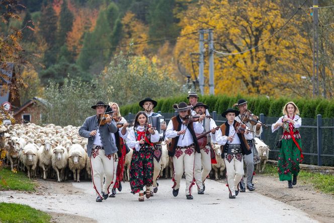 Szczawnica i Krościenko
