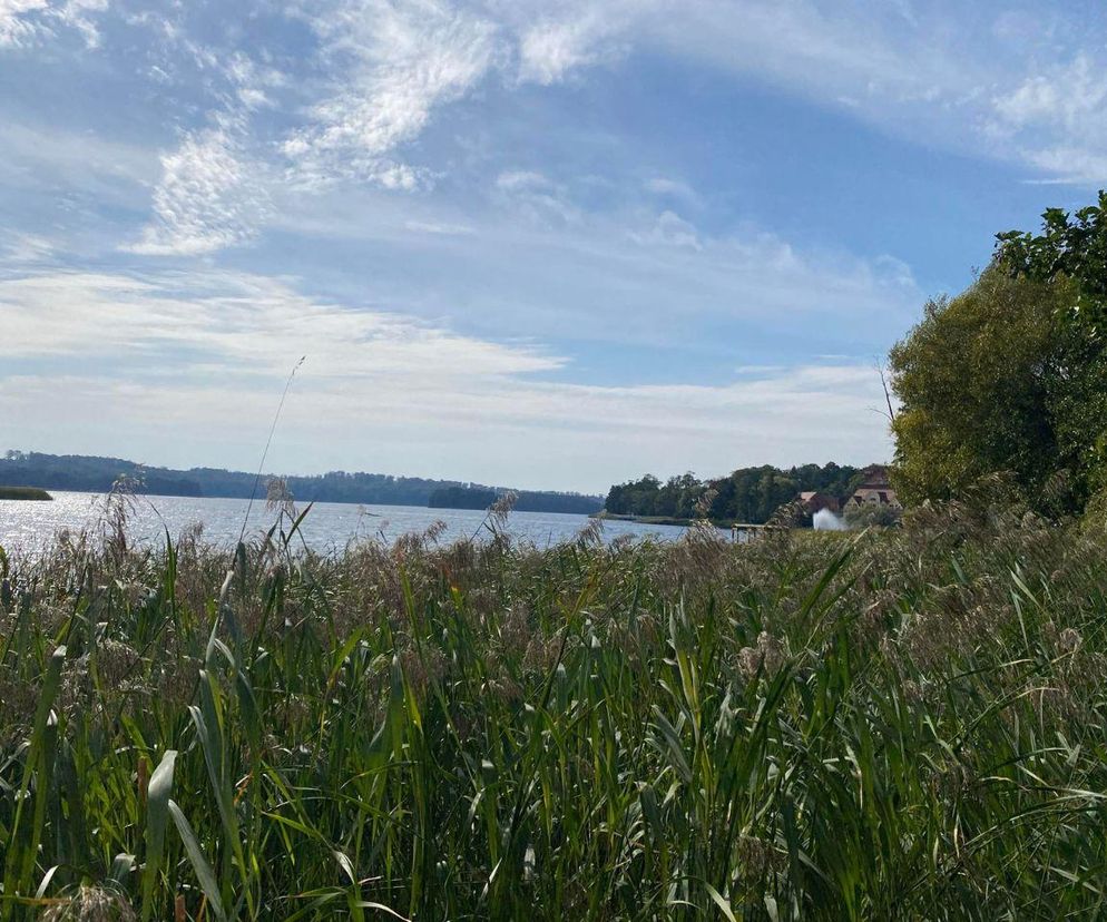 To najpiękniejsze jezioro na Pomorzu Zachodnim? Cud ukryty w lesie