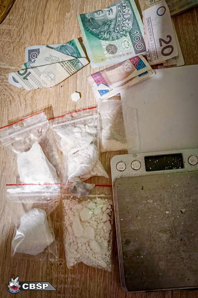 Gang handlarzy narkotykami i sutenerów rozbity na Śląsku
