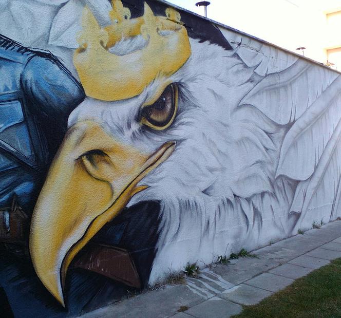 Nowy mural w Rzeszowie - orzeł w koronie, żołnierze i flaga na osiedlu Pobitno