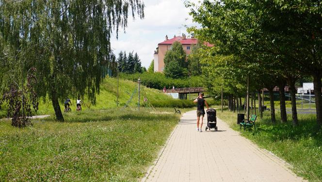 Lublin. „Filary porośnięte bluszczem” i nie tylko. Park Jana Pawła II w lipcowej odsłonie