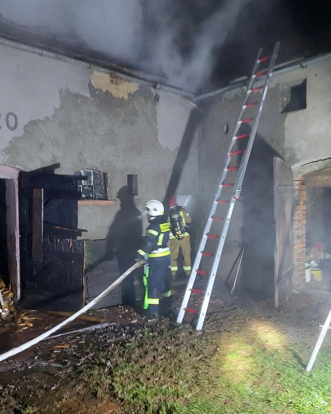 62-latek zginął w płomieniach. Tragiczny pożar domu jednorodzinnego 