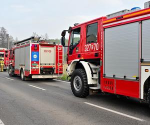 Pożar traw w krakowskiej dzielnicy Dębniki