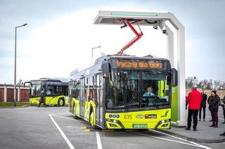 Nowe autobusy dla Gorzowa