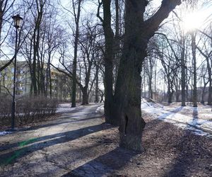 Zakaz wstępu do jednego z najstarszych parków w Lublinie. Teren został ogrodzony