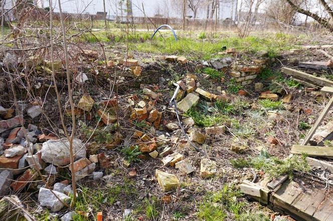 Domek Fiński Ryszarda Kapuścińskiego to ruina - zobacz zdjęcia