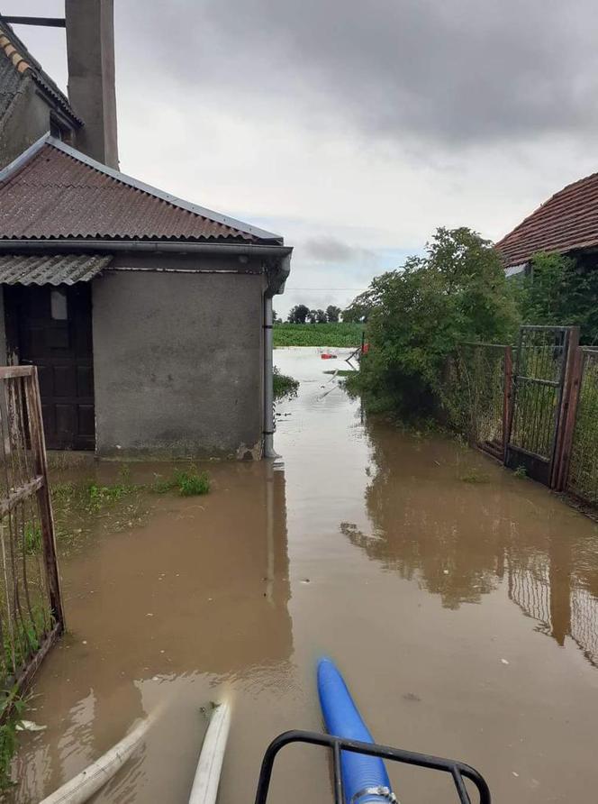 Bączylas w pow. gostyńskim walczy z wodą