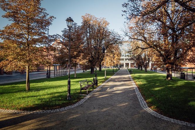 Plac Kościeleckich w Bydgoszczy po przebudowie