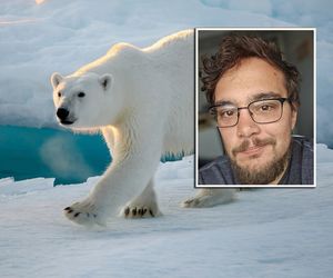 Zrobił zdjęcie niedźwiedzia, zginął w jego paszczy! Śmierć fotografa